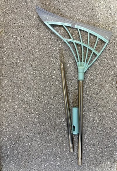 Окномойка треугольная