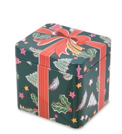 TCN-20/2 Коробка металлическая