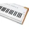 Arturia AstroLab 88 White