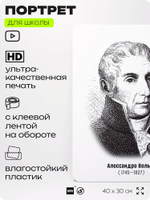 Портрет для школы в кабинет физики "Александро Вольта", стенд школьный для класса, деятели науки для оформления классного уголка, 40х30 см, Silver Plane x Айдентика Технолоджи