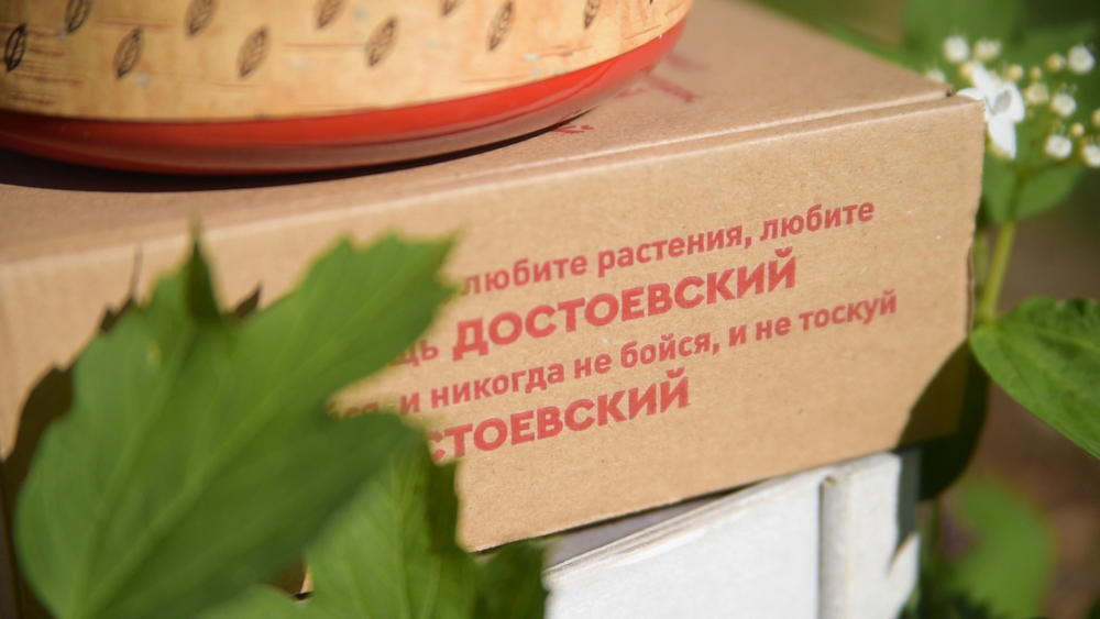 Малая фарфоровая пиала или миска для завтрака с берестой. Коллекция Достоевская или Старорусская