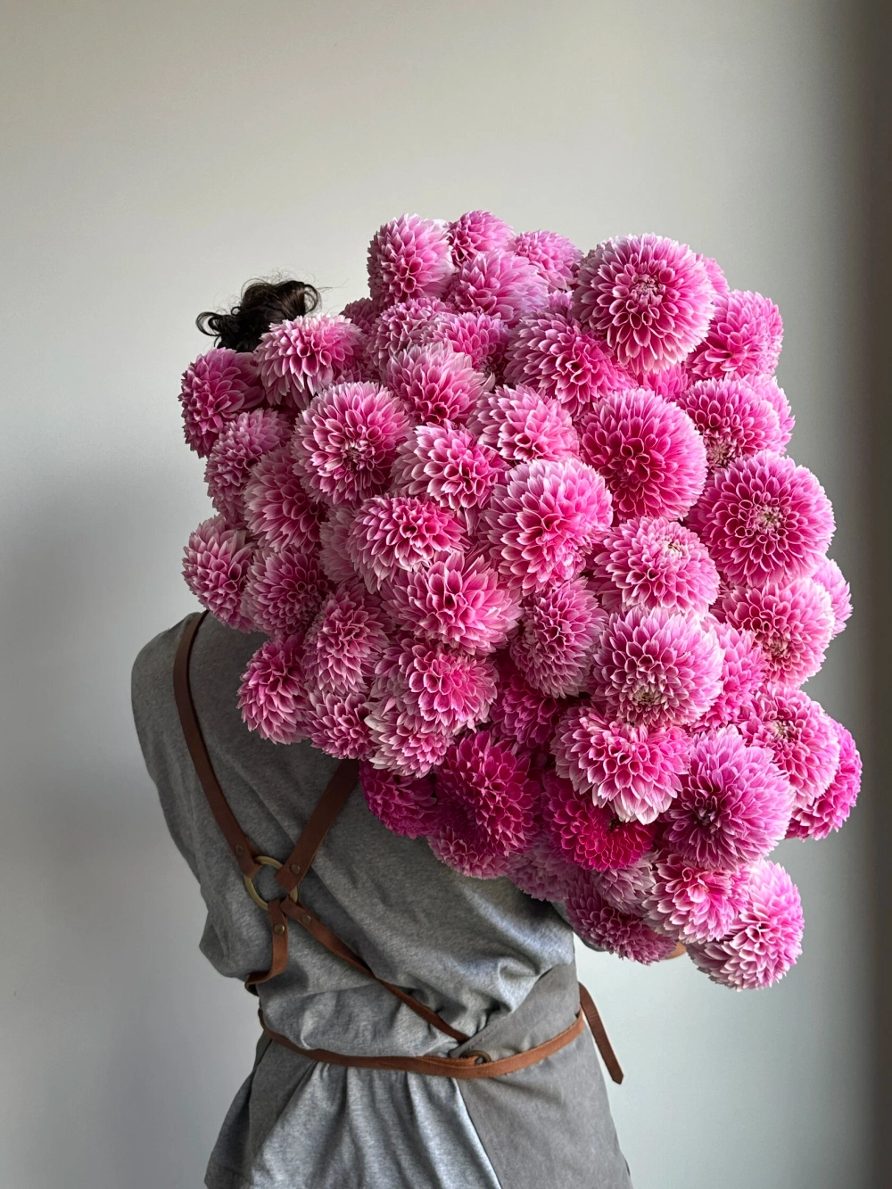 Георгин Marshmellow Baby (корень) Закупка М55 апрель 2026