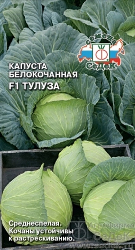 Капуста б/к Тулуза F1 0,05гр Седек