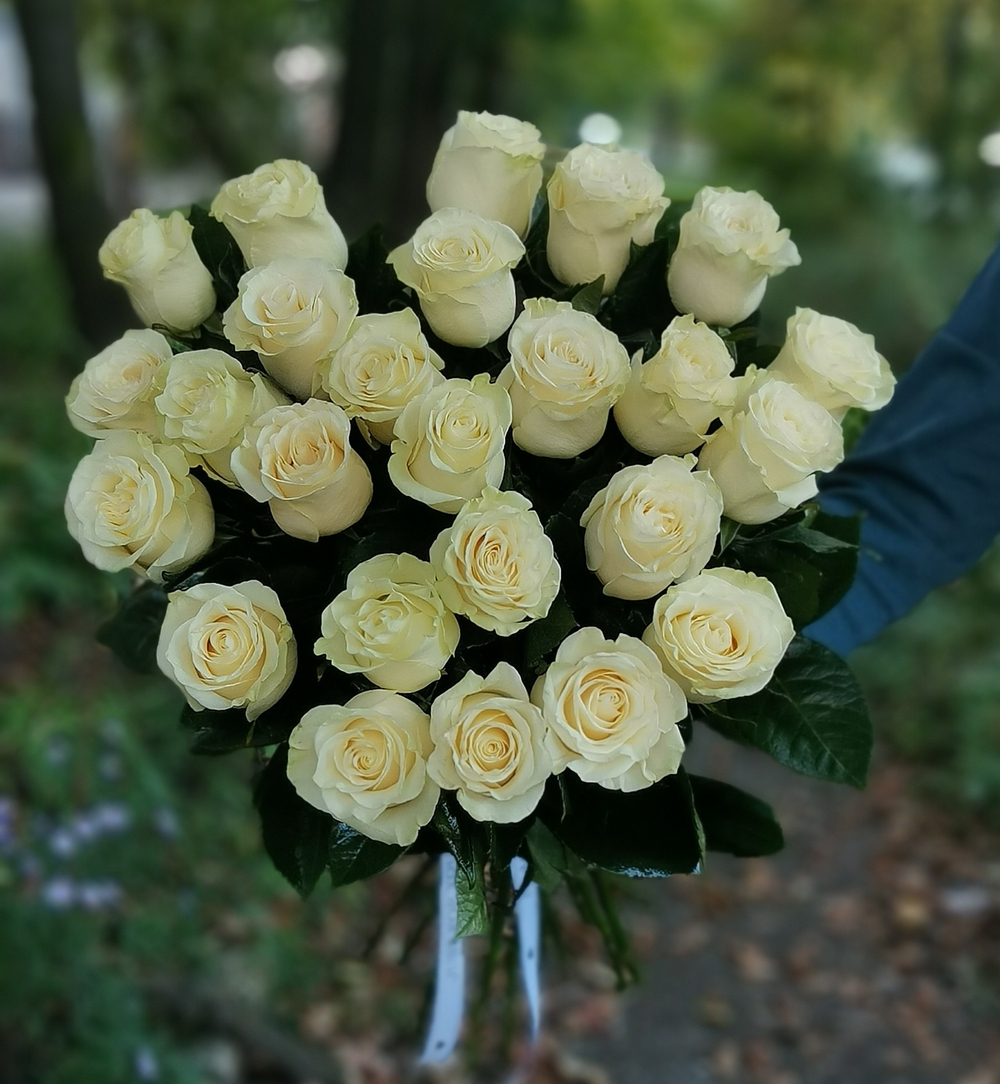 25 белых роз 70 см