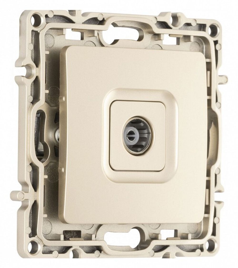 ТВ-розетка без рамки Arte Milano am-217 217.43-1.shampan