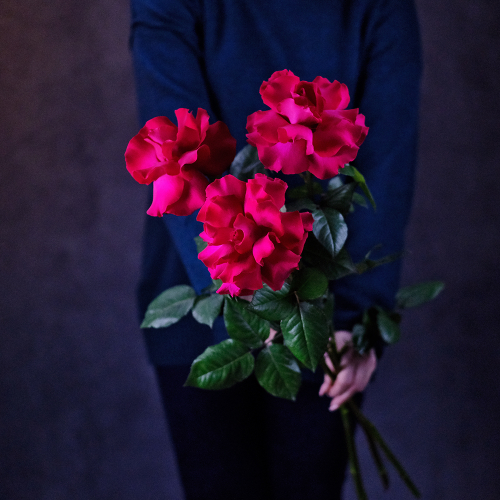 Купить Розы французские Ruby Rose от 9шт