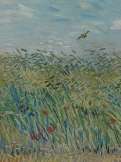 Картины-наклейки на стену для декора интерьерные №24