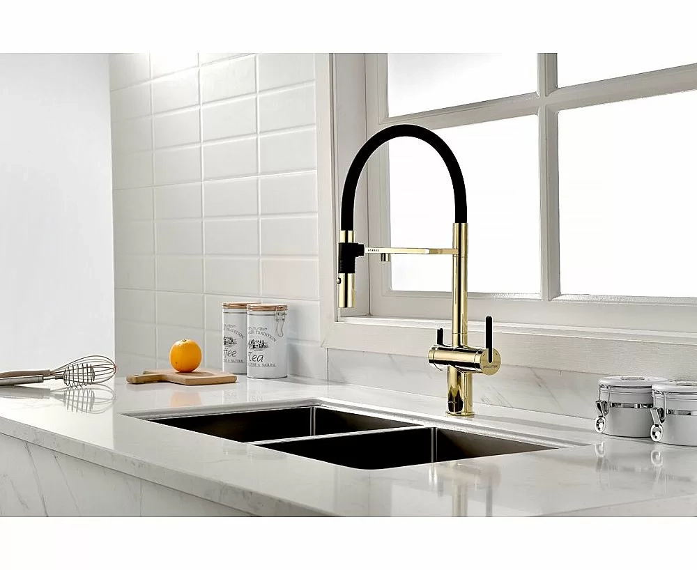Смеситель для кухни Paulmark Gravity Gr213888-G золото