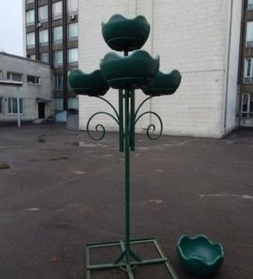 Цветочница Улитка двойная парковая
