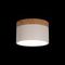 Накладной светодиодный светильник Loft IT Grape 10162 White