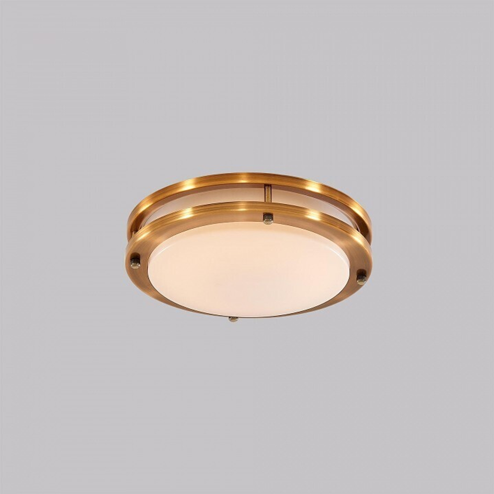 Накладной светильник Citilux Бостон CL709153