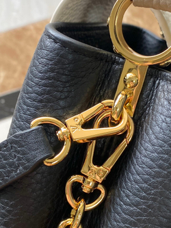 Louis Vuitton Capucines Mini