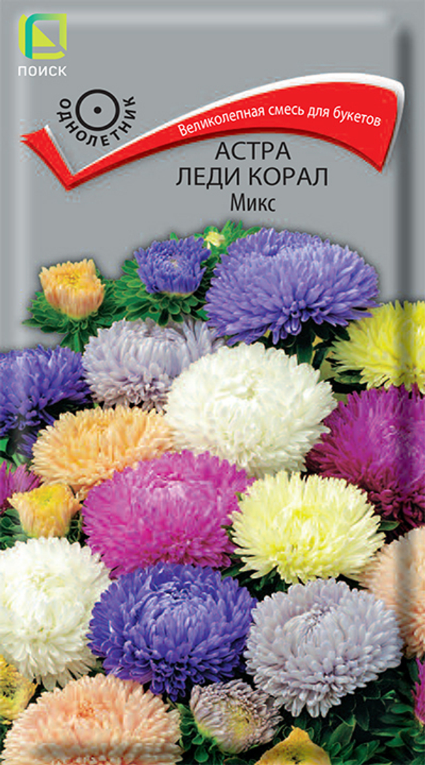 Астра Леди Корал Микс