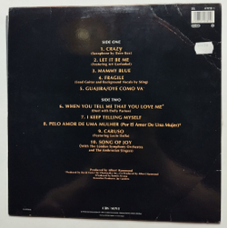 Винтажная виниловая пластинка LP Julio Iglesias Crazy (Spain 1994)