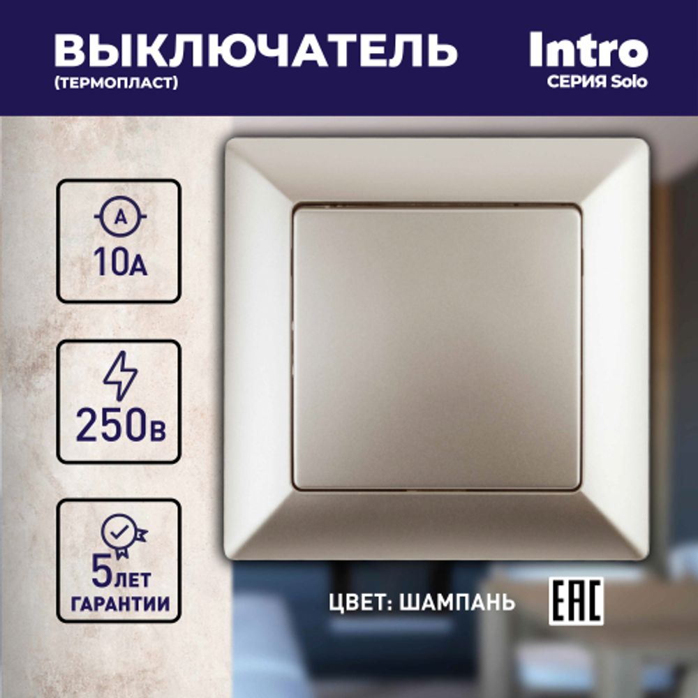 Выключатель Intro Solo 4-101-04 одноклавишный 10А-250В, IP20, СУ, шампань
