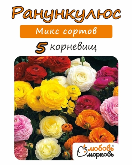 Корневище, Ранункулюс микс сортов, 5шт