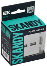SKANDY Розетка USB A+A 3,1А SK-R15S серебряный IEK