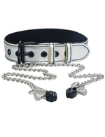 Серебристый ошейник с зажимами для сосков на цепочках (Цвет: серебристый)