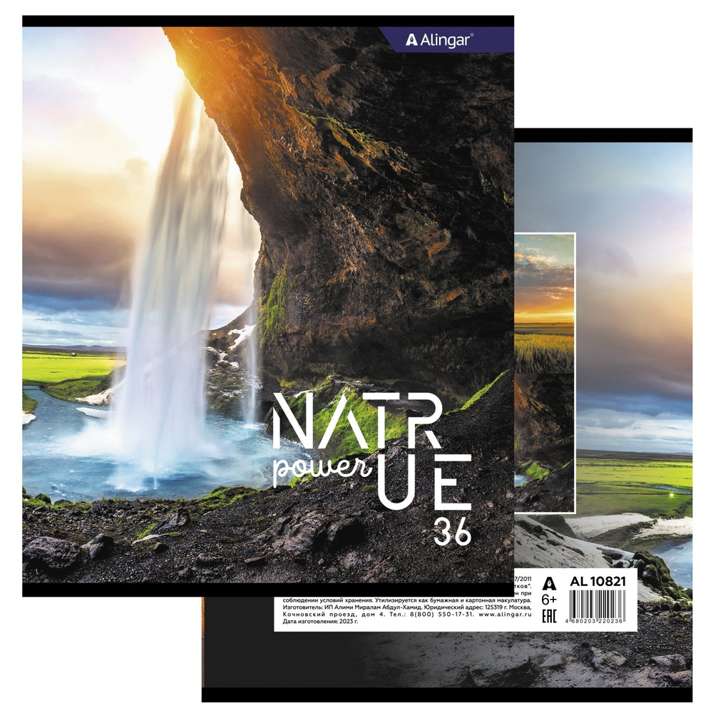 Тетрадь 36 л., А5, клетка, Alingar "Nature power", скрепка, второй блок 60г/м2, мелованный картон (стандарт), 4 дизайна в пленке т/у