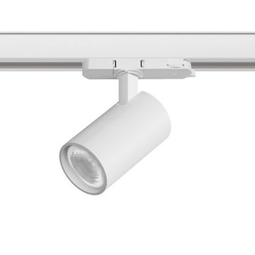 Светильник для трековой системы Quattro LED 36G с адаптером 15W 4000K A5146QT36G белый Alta Base Lightstar