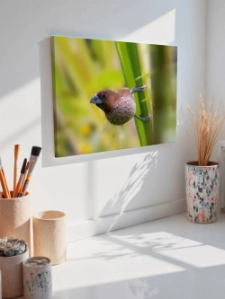 Картина на стену 40 X 50 Птичка