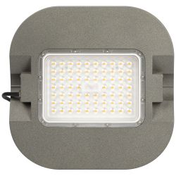 Светильник светодиодный садово-парковый ЭРА SPP-505-0-30K-050 50Вт 3000K IP65 серый | Садово-парковые светильники