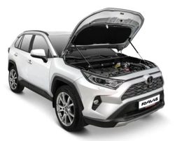 Газовые упоры капота штатные для Toyota RAV 4 XA50 2019-н.в., 2 шт., PW4A1-0R000