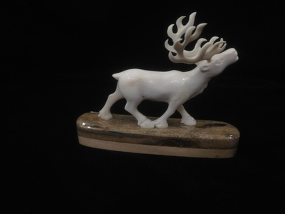 Северный олень