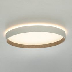 Накладной светильник Citilux ETALON CL750320R