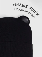 Шапка для мальчика осенняя с ушками