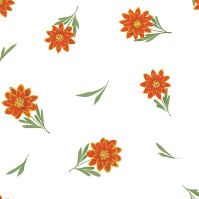 Бархатцы. Тагетес.