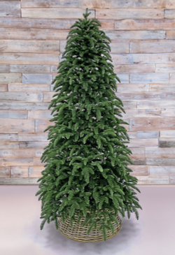 Ель Нормандия 100% литая стройная 215см темно-зеленая Triumph Tree