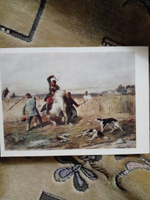 Коллекционная почтовая открытка СССР "Потрава". Худ. П. П. Соколов. 1960 год