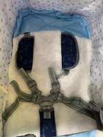 Коляска комбинированная «Ника Детям 8-1» северный (арт. НД8-1/1)