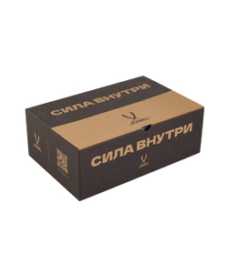 Кроссовки с мембраной Snowstorm MID Black/grey