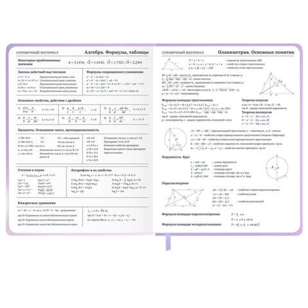 Дневник 1-11 класс 48 л., обложка кожзам (твердая с поролон), 3D-элемент, BRAUBERG, "Суровый кот", 107221