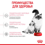 ROYAL CANIN (Роял Канин) Mother & Babycat Корм сухой для беременных и кормящих кошек; для котят от 1 до 4 месяцев и в период отъёма, 400 г
