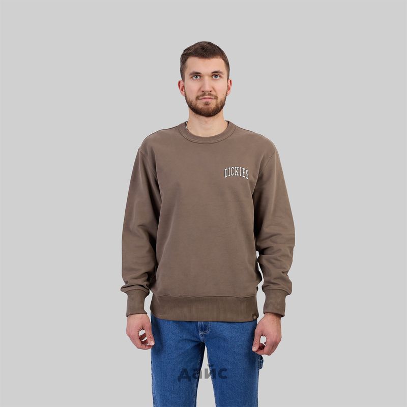 Толстовка мужская Dickies Aitkin Chest Sweatshirt артикул:DK0A4YBGJ961 - купить в магазине Дайс