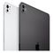 iPad Pro (M4, 2024) 13&quot; Wi-Fi 2 ТБ (Space Black / Черный космос)