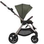 Детская коляска Anex IQ Premium 2 в 1 richi