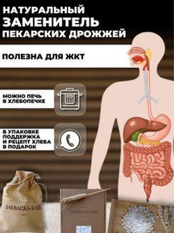 "Вечная" чудо-закваска для выпечки хлеба