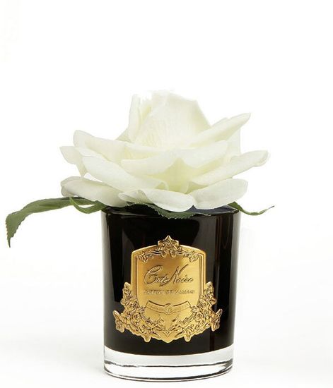 Роза цвета слоновая кость в черной вазе, Cote Noire