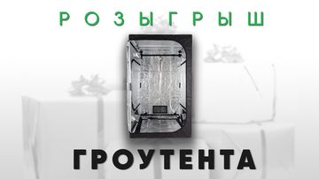 Розыгрыш Гроутента от Garden Hipro