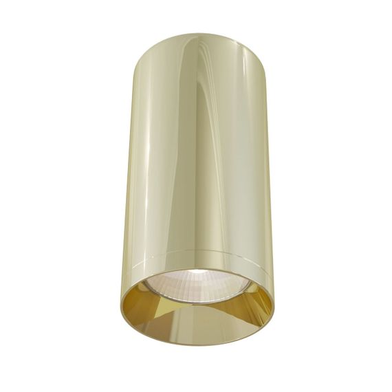 Потолочный светильник Maytoni Technical Focus C010CL-01G