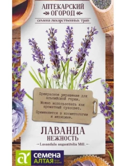 Семена многолетних цветов Лаванда Нежность