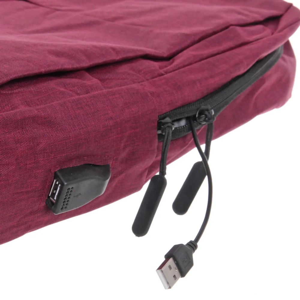 Рюкзак многофункциональный «BAST FRANKO «, с отделением для ноутбука с USB зарядкой, цвет красный, 29*10*41см