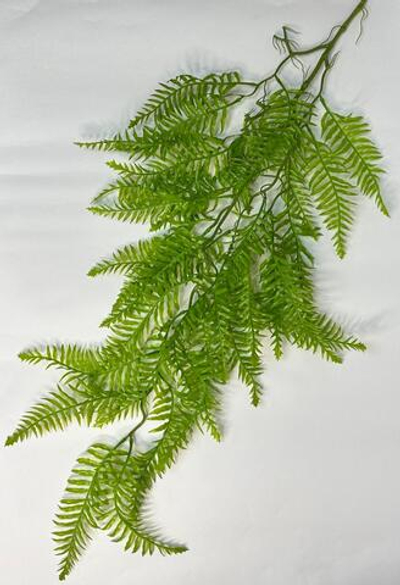 Папоротник ампельный