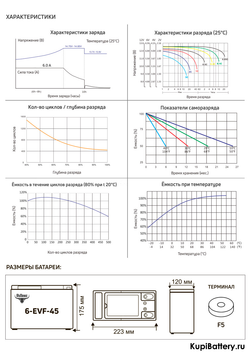 Аккумулятор RuTrike 6-EVF-45 (AGM)