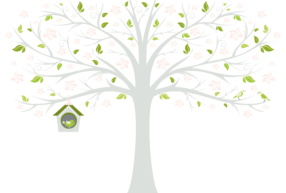 Коллекция BABY WORLD