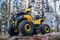 Квадроцикл WELS Thunder Trail 125 PRO